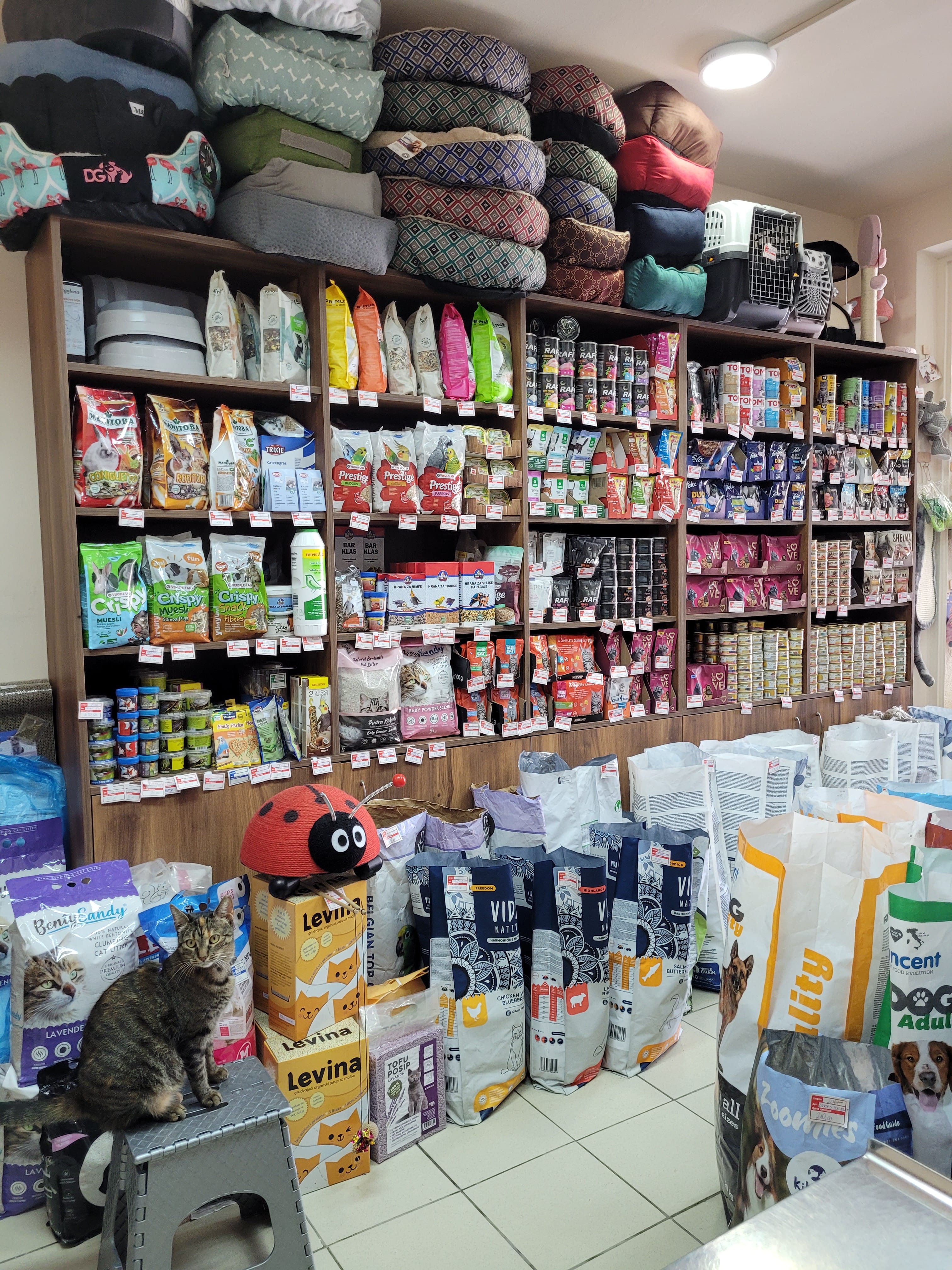Unutrašnjost Pet Shop Riska